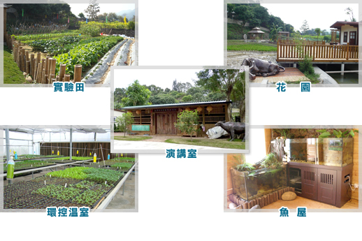 Photos